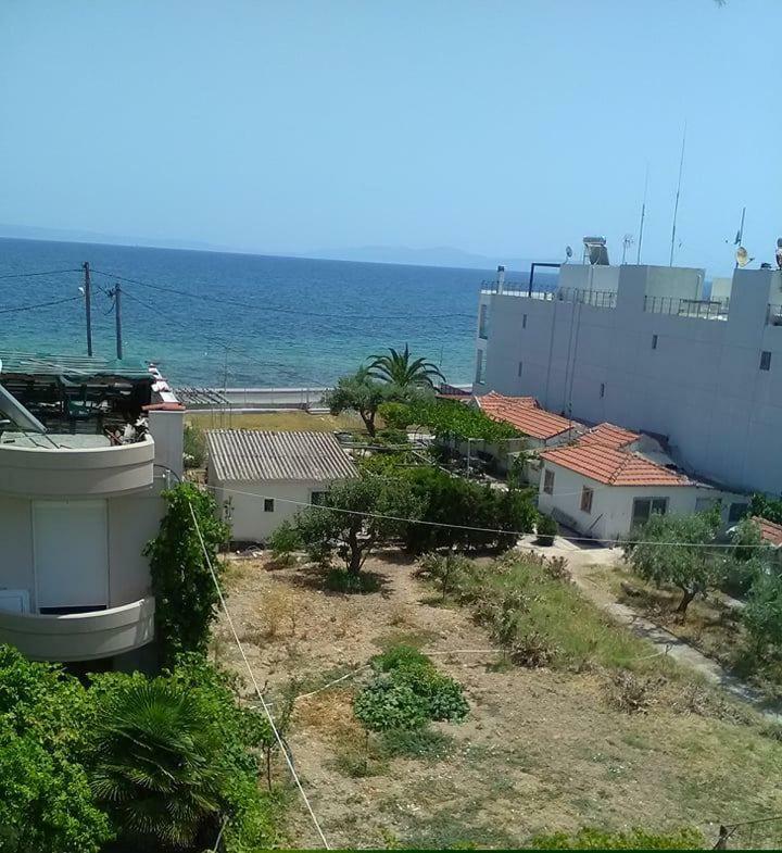 To Giouli Hotel Vólosz Kültér fotó